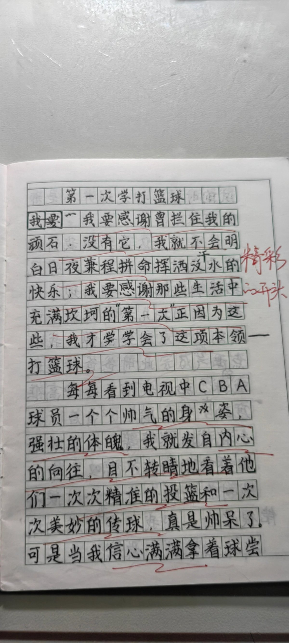 关于篮球训练经历的作文